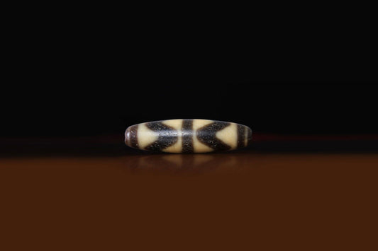 Tiger Teeth Dzi Bead Properties, Meanings and Powers - Mantrapiece