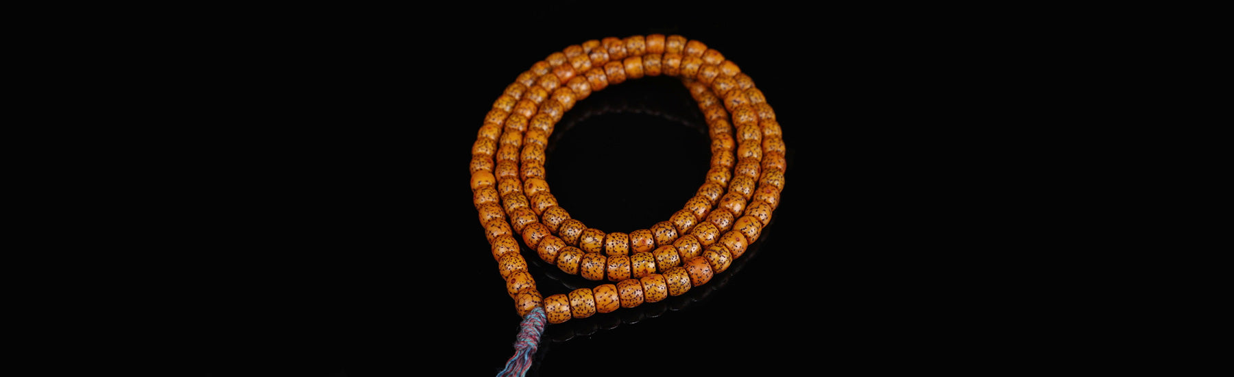 Lotus Seed Wrist Mala with Inlays, 21 Beads | Buddha Groove