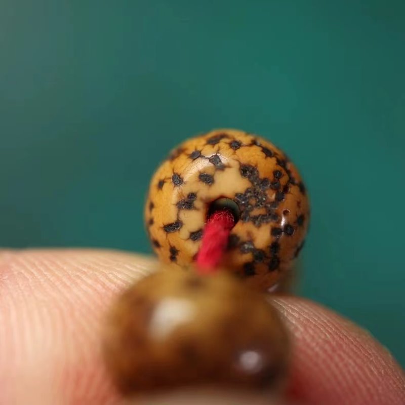 Antique Tibetan Lotus Beads