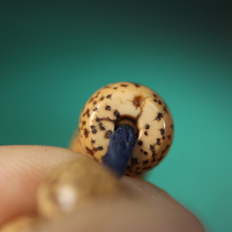 Antique Tibetan Lotus Seed Beads