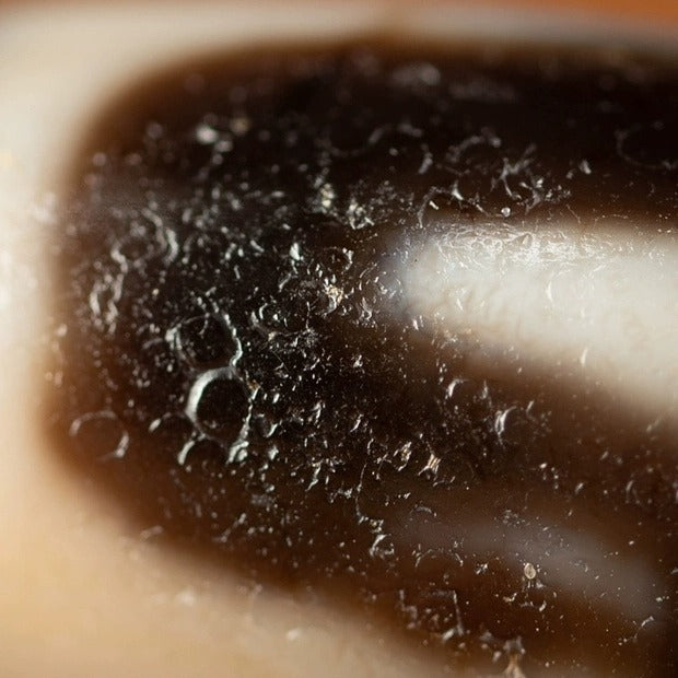 Inner Resilience Tiger Tooth Dzi Bead