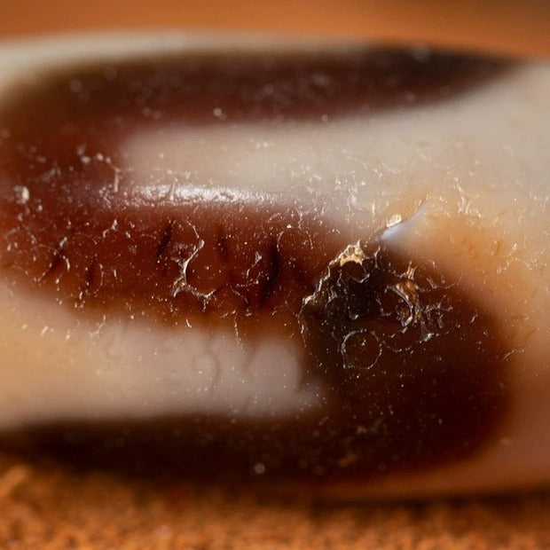 Inner Resilience Tiger Tooth Dzi Bead