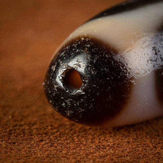 Inner Resilience Tiger Tooth Dzi Bead