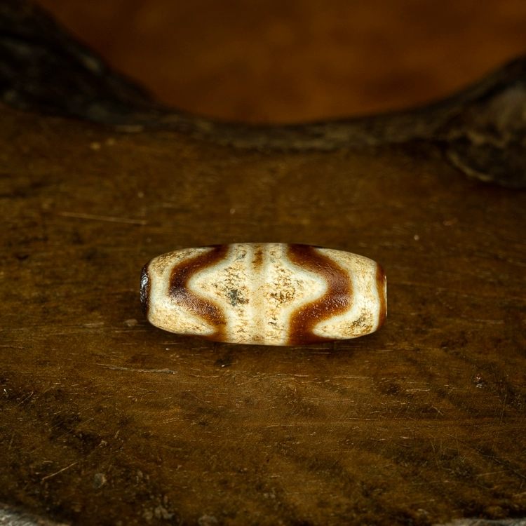 Enduring Courage Tiger Tooth Dzi Bead