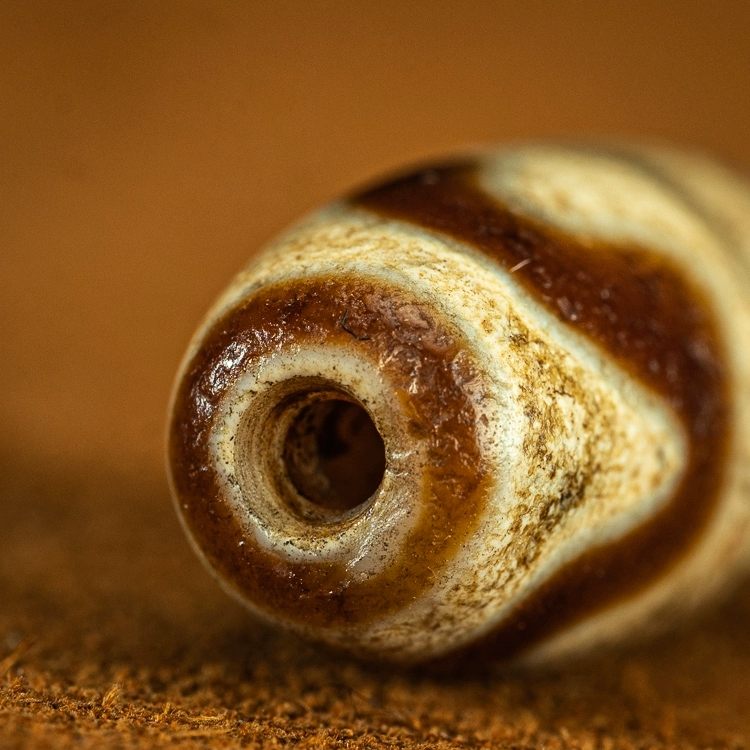 Enduring Courage Tiger Tooth Dzi Bead