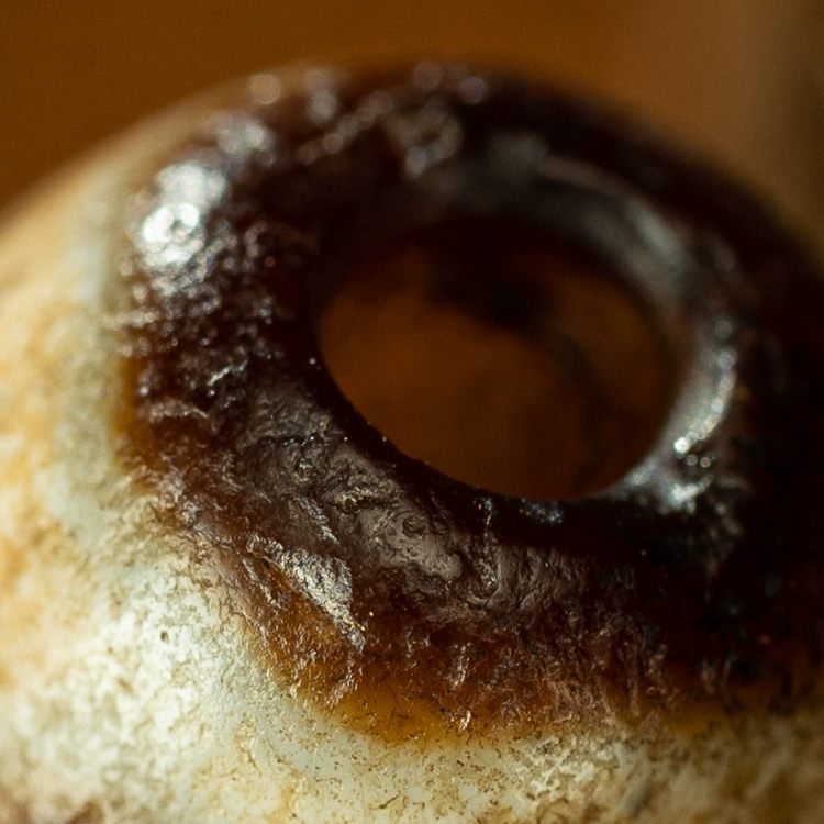 Enduring Courage Tiger Tooth Dzi Bead