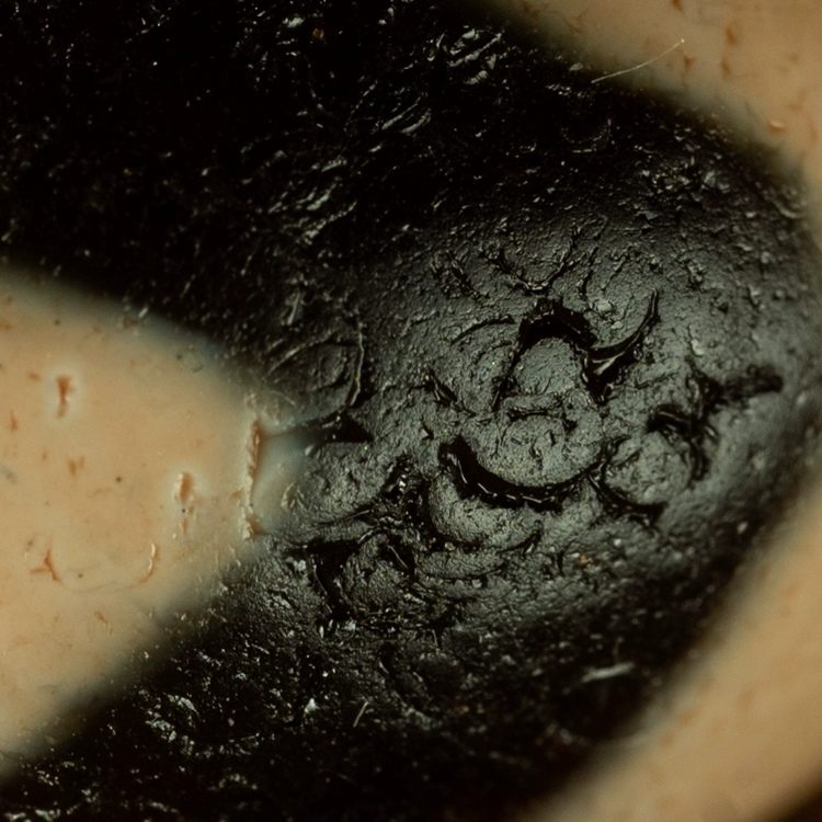 Harrowing Might Tiger Tooth Dzi Bead