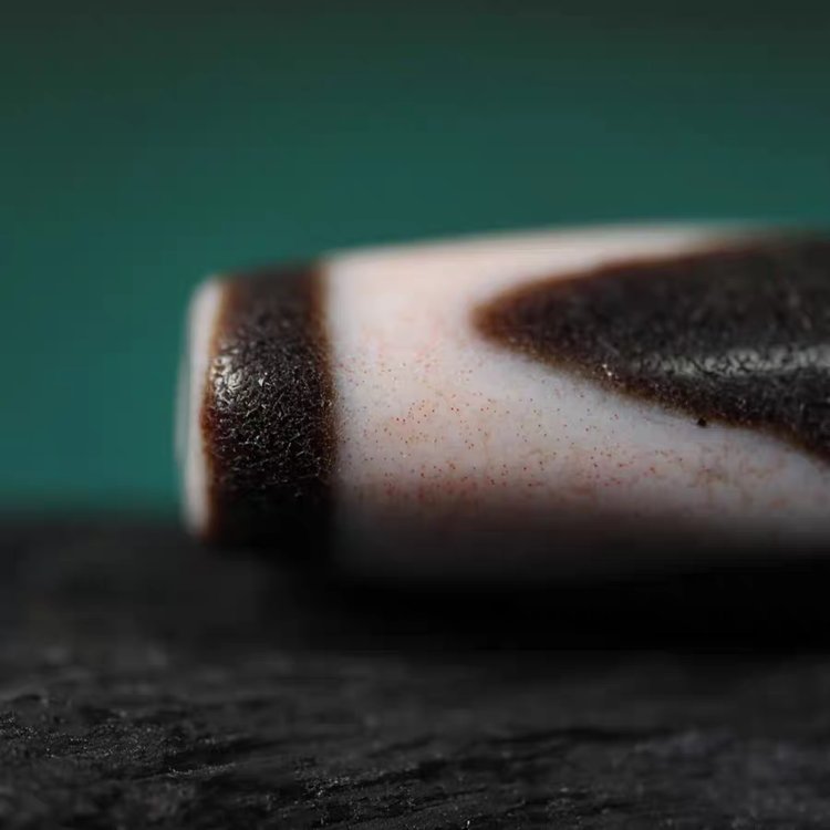 Shard of Unwavering Protection Tiger Tooth Dzi Bead