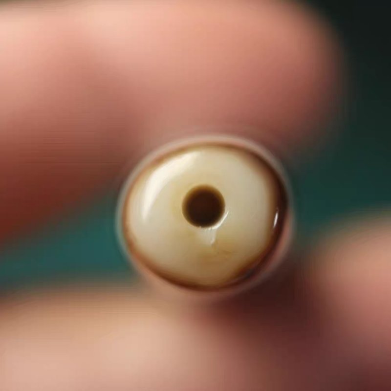 Heavenly Blessings 6 Eye Dzi Bead