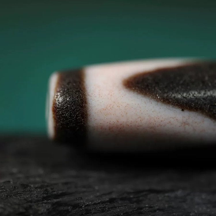 Shard of Unwavering Protection Tiger Tooth Dzi Bead