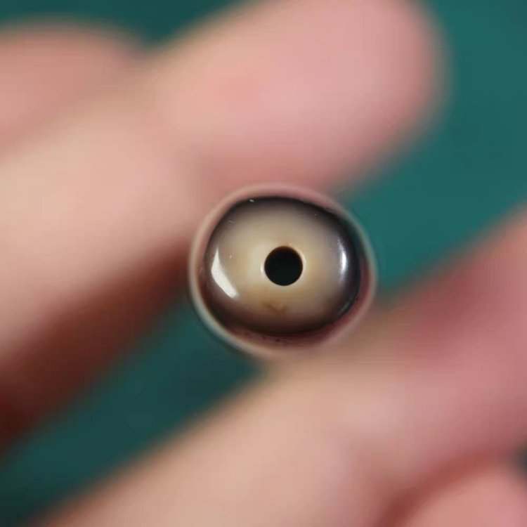 Holistic Harmony 3 Eye Dzi Bead