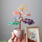 Bonsai Gem Tree