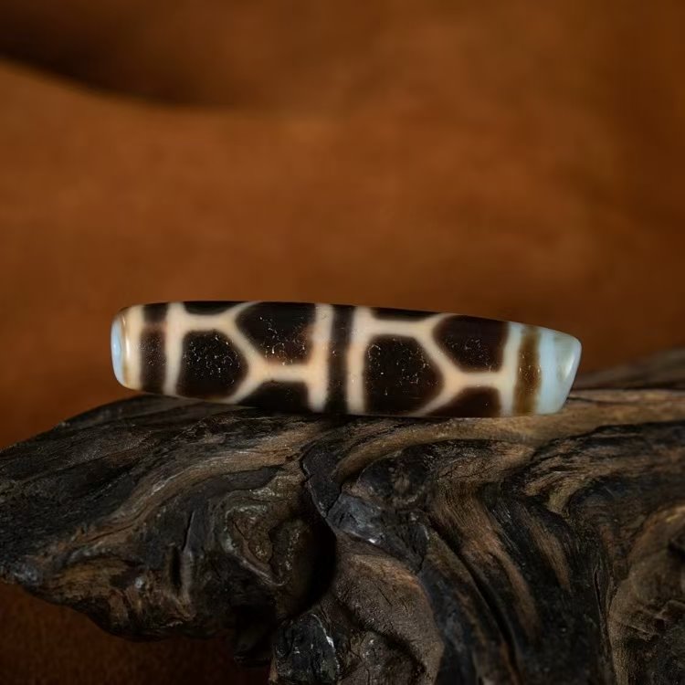 Ageless Vigor Tortoise Shell Dzi Bead