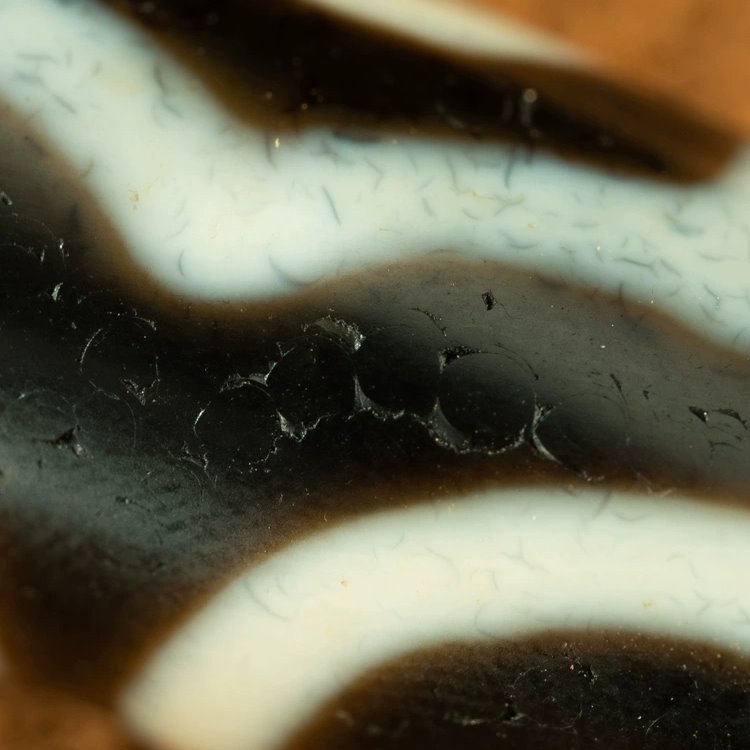 Holistic Harmony 3 Eye Dzi Bead