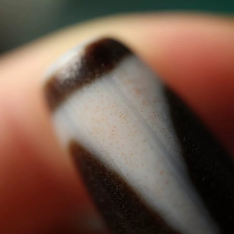 Shard of Unwavering Protection Tiger Tooth Dzi Bead
