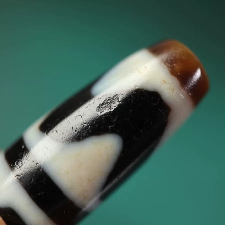 Vitality Rising Tiger Tooth Dzi Bead