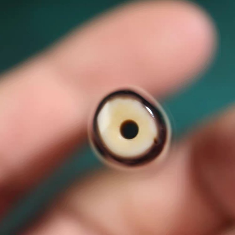 Earth-Born 1 Eye Dzi Bead