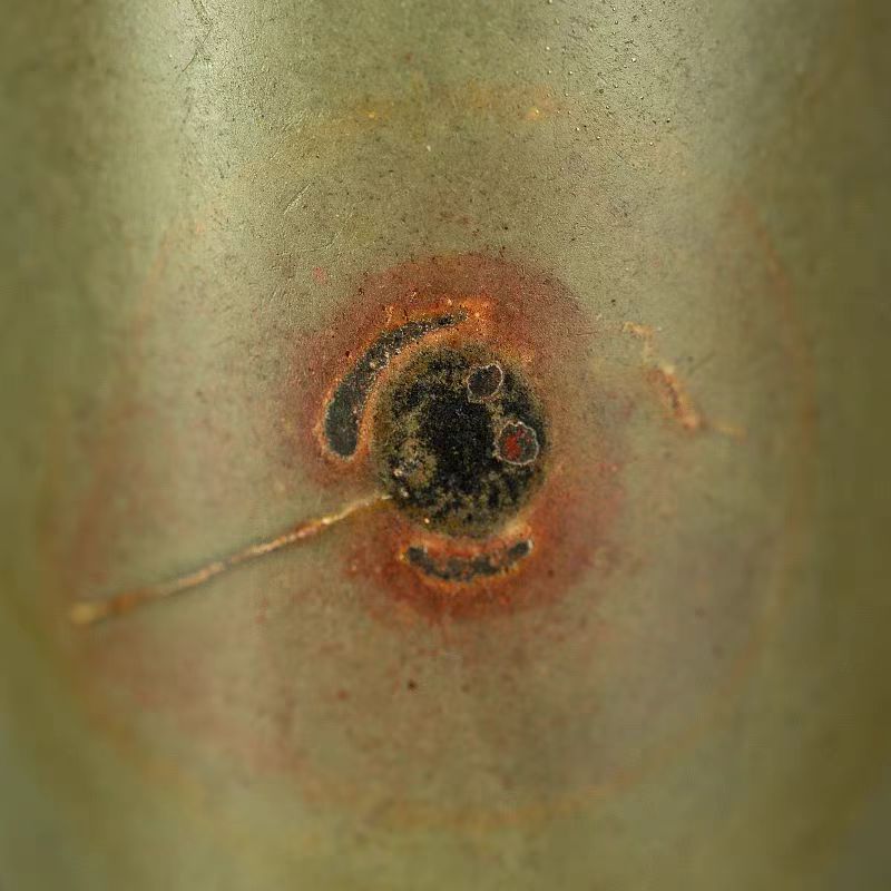 Earth-Born 1 Eye Dzi Bead