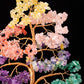 Bonsai Gem Tree