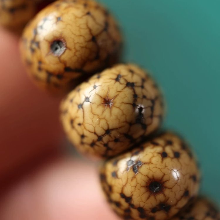 Antique Tibetan Lotus Seed Bracelet