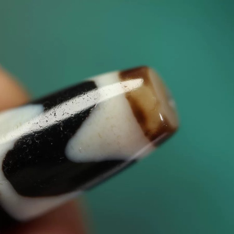 Vitality Rising Tiger Tooth Dzi Bead