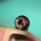 Antique Tibetan Lotus Seed Beads