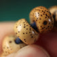 Antique Tibetan Lotus Seed Beads