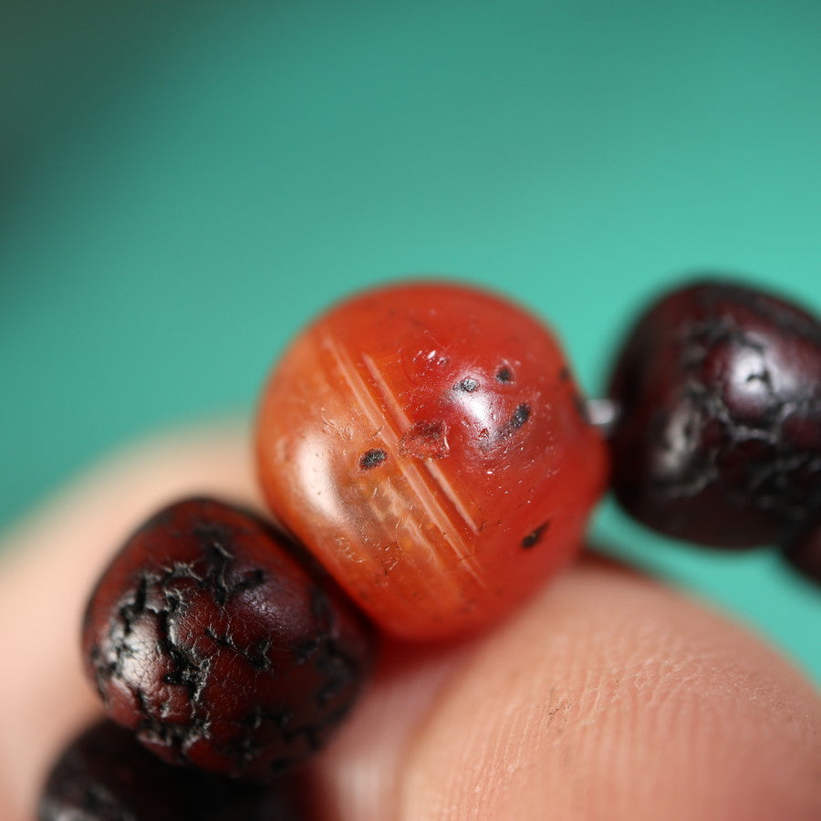 Antique Tibetan Lotus Seed Beads