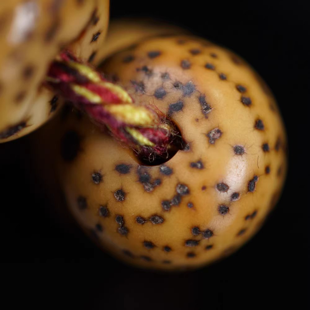 Antique Tibetan Red Lotus Seed Mala