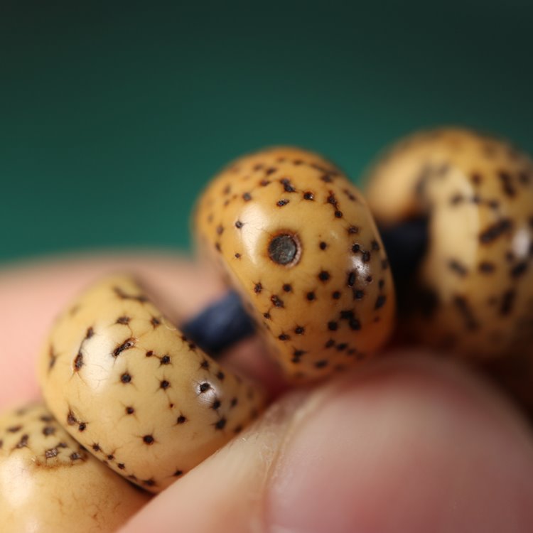 Star Moon Bodhi Mala