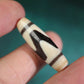 Shard of Unyielding Willpower Tiger Tooth Dzi Bead