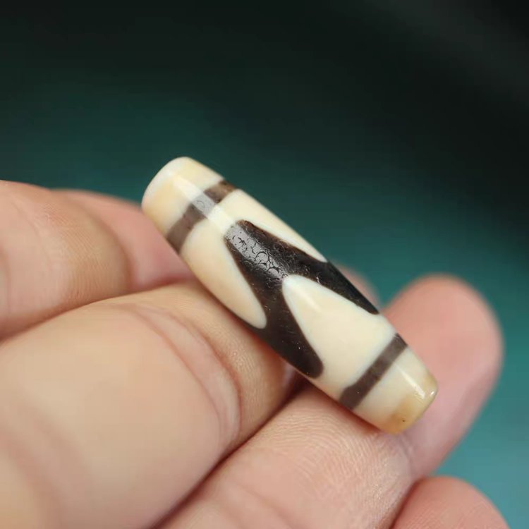 Shard of Unyielding Willpower Tiger Tooth Dzi Bead