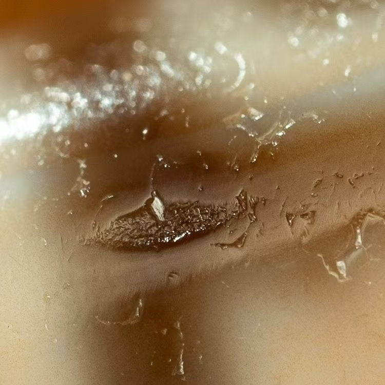 Harmonious Relationships 2 Eye Dzi Bead