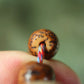 Star Moon Bodhi Mala