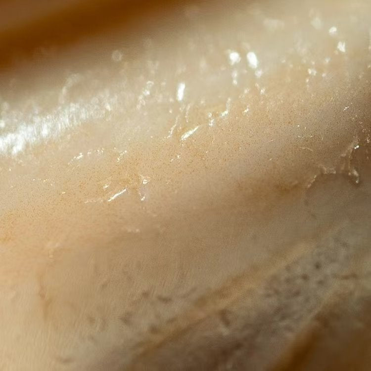 Harmonious Relationships 2 Eye Dzi Bead