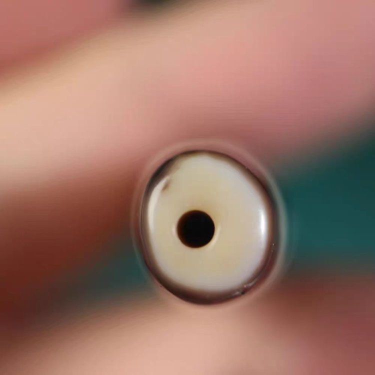 Energies of Skillful Means Talisman 4 Eye Dzi Bead