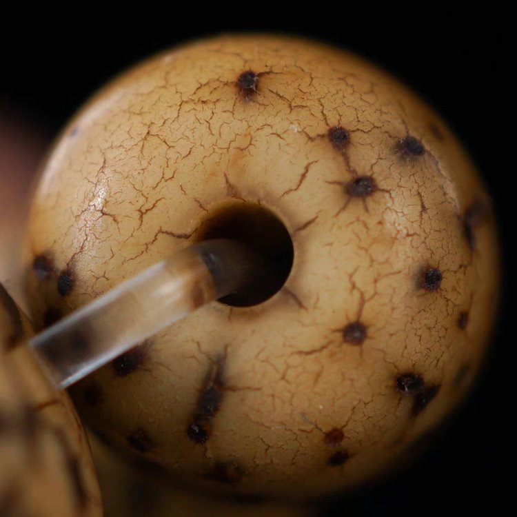 Antique Tibetan Star Moon Bodhi Lotus Mala