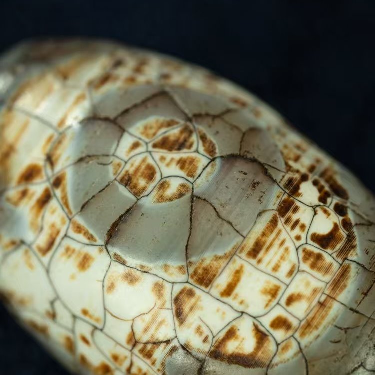 Harmonious Life 2 Eye Dzi Bead