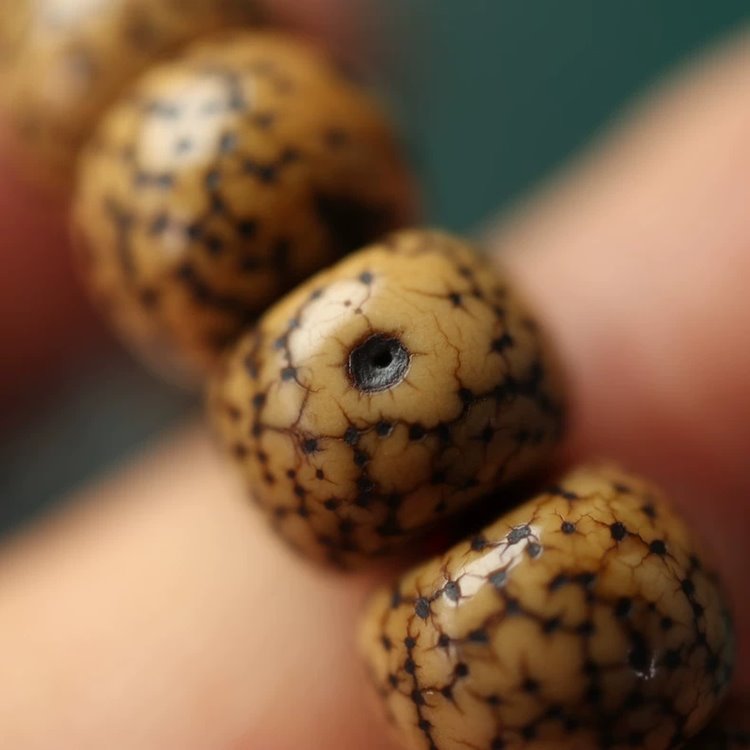 Antique Tibetan Lotus Seed Bracelet