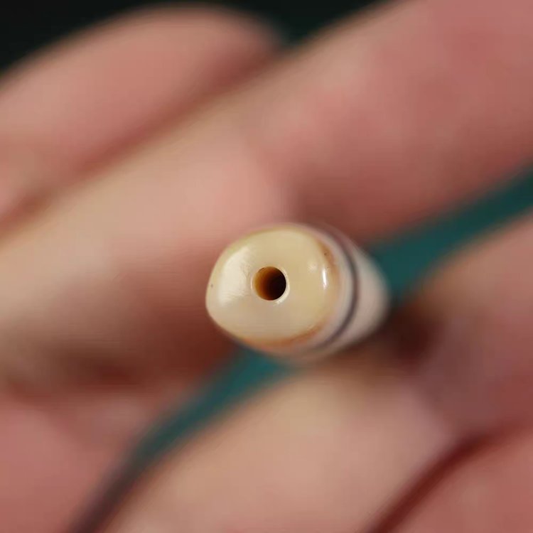 Shard of Unyielding Willpower Tiger Tooth Dzi Bead