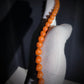 Premium 108 8mm Bodhi Seed Mala