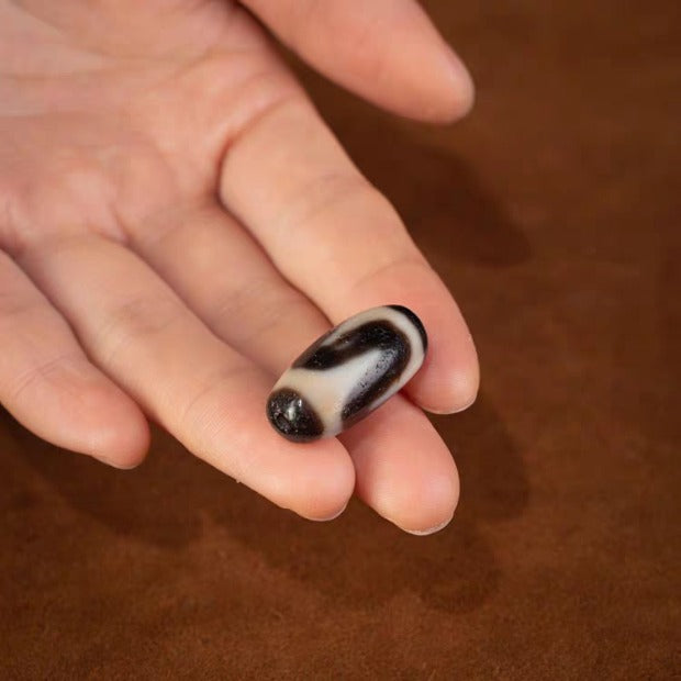 Inner Resilience Tiger Tooth Dzi Bead