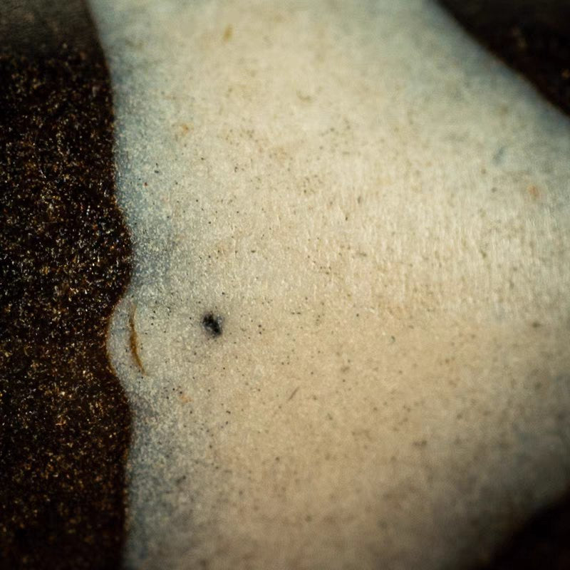 Pursuit of the Fearlessness Tiger Tooth Dzi Bead