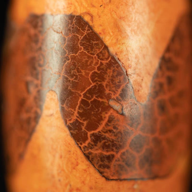 Shard of Unwavering Protection Tiger Tooth Dzi Bead