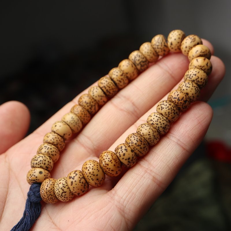 Antique Tibetan Lotus Seed Beads - mantrapiece.com